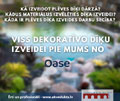 Dīķa izbūve kā veidot dārza dīķi plēves dīķis